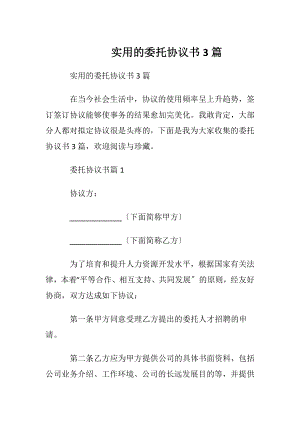 实用的委托协议书3篇.docx