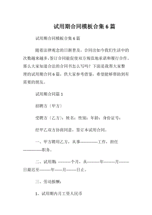 试用期合同模板合集6篇.docx