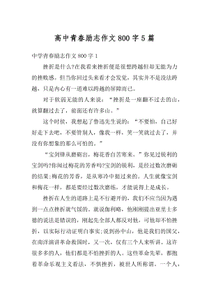 高中青春励志作文800字5篇范文.docx