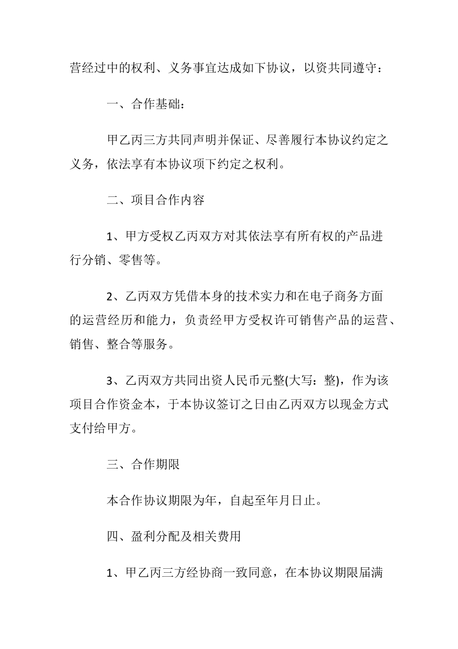 合伙电商合作协议书范本.docx_第2页