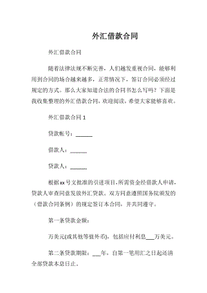 外汇借款合同.docx