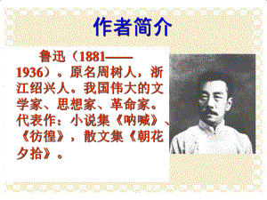 上课_用《阿长与山海经》课件 (2).ppt