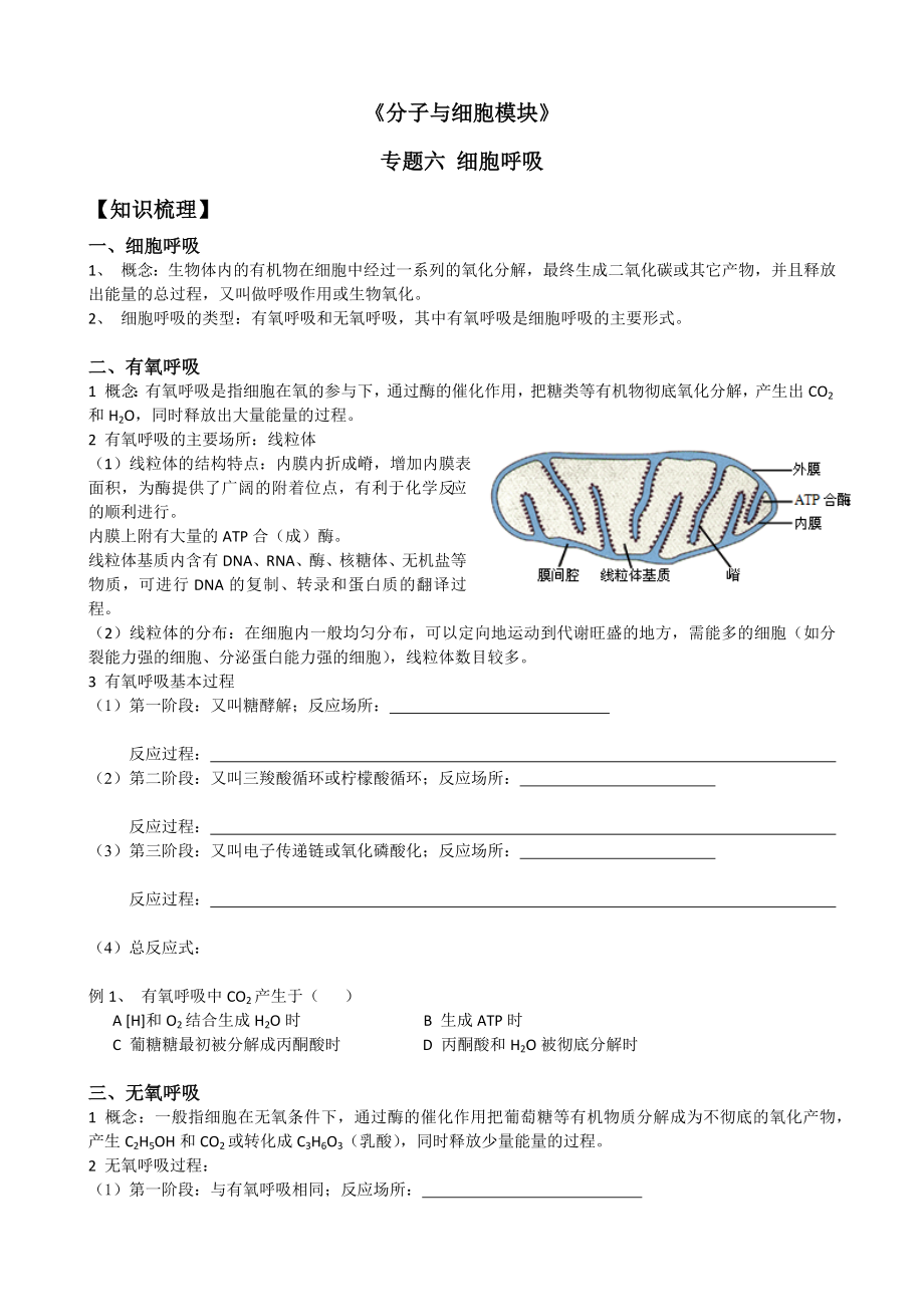 生物必修一专题六-呼吸作用.docx_第1页