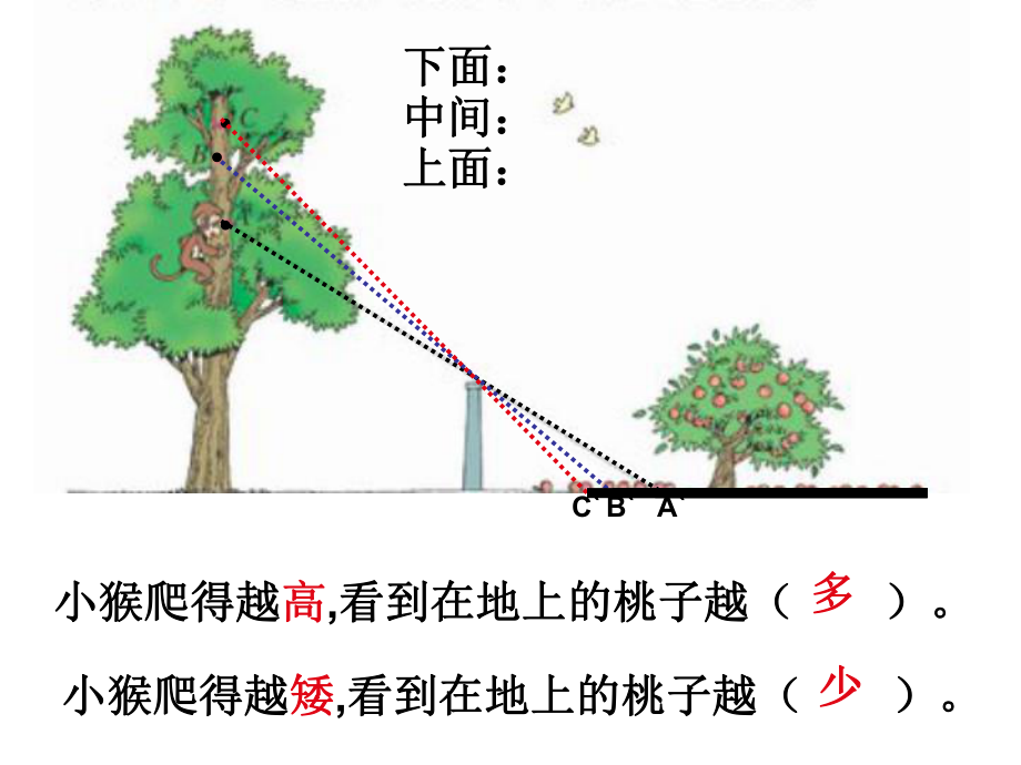 课件观察的范围.ppt_第2页