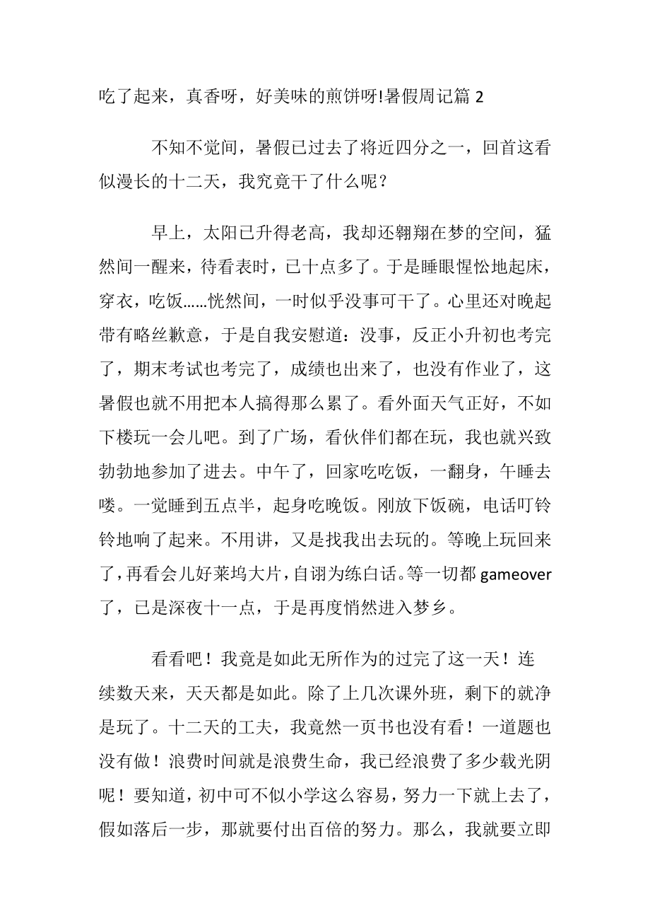 优选暑假周记模板汇总6篇.docx_第2页