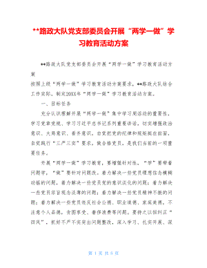 --路政大队党支部委员会开展“两学一做”学习教育活动方案.doc