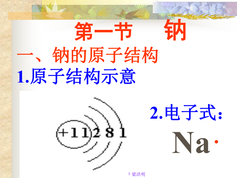 钠完整课件一.ppt_第2页