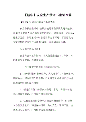 【精华】安全生产承诺书集锦9篇.docx