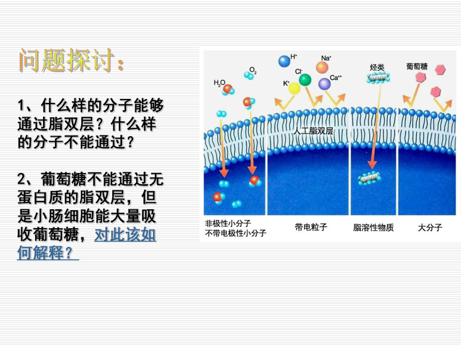 第4章第3节物质跨膜运输的方式.ppt_第2页