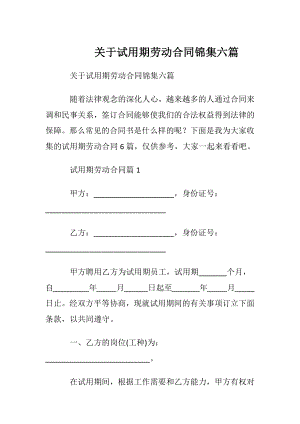 关于试用期劳动合同锦集六篇.docx