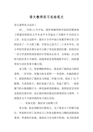 语文教师实习总结范文精编.docx