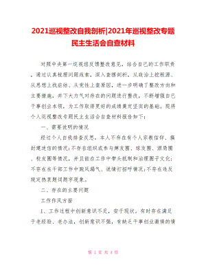 2021年巡视整改专题民主生活会自查材料.doc