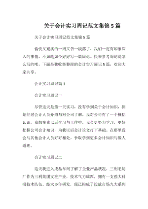 关于会计实习周记范文集锦5篇.docx