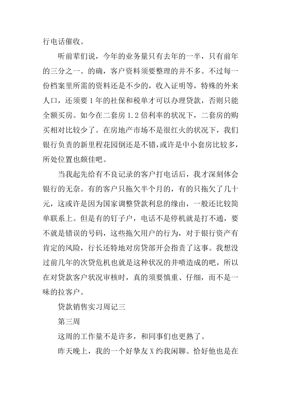 贷款销售实习周记大全范本.docx_第2页