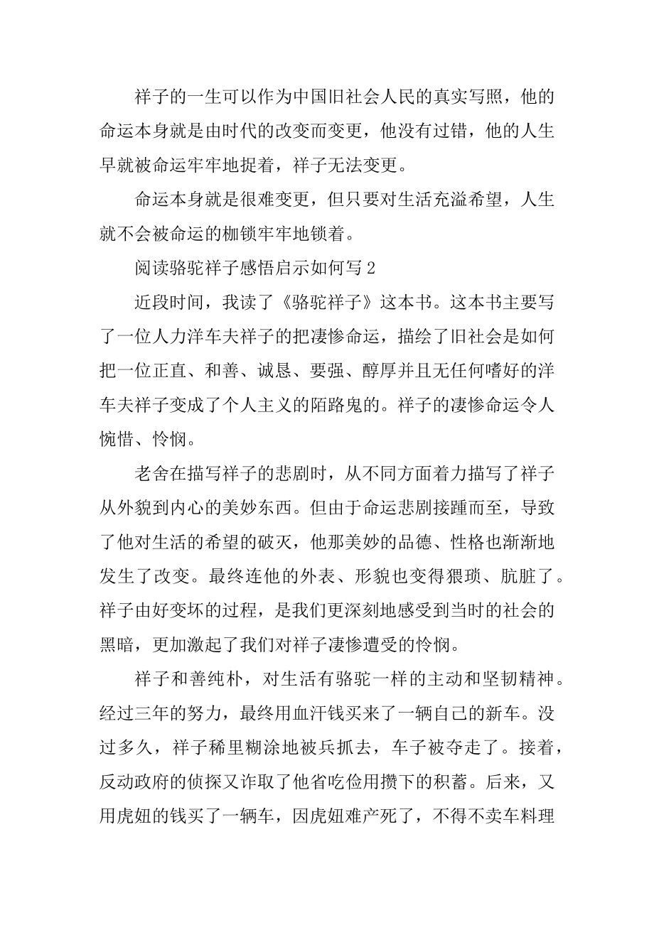 阅读骆驼祥子感悟启示如何写汇总.docx_第2页