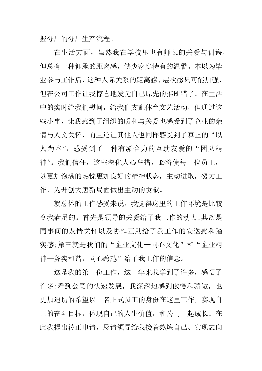 试用期自我总结及自评范文.docx_第2页