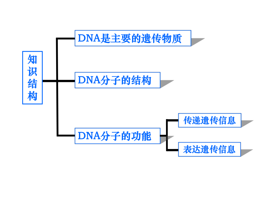 第3章基因的本质复习.ppt_第2页