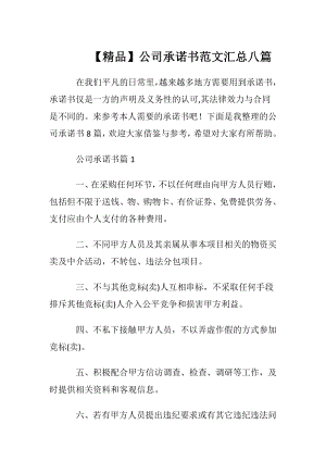 【精品】公司承诺书范文汇总八篇.docx