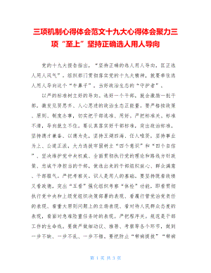 三项机制心得体会范文十九大心得体会聚力三项“至上”坚持正确选人用人导向.doc