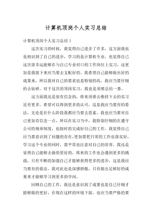 计算机顶岗个人实习总结汇编.docx