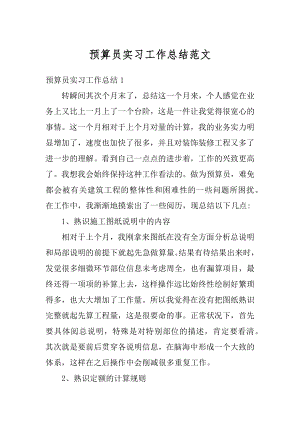 预算员实习工作总结范文汇总.docx