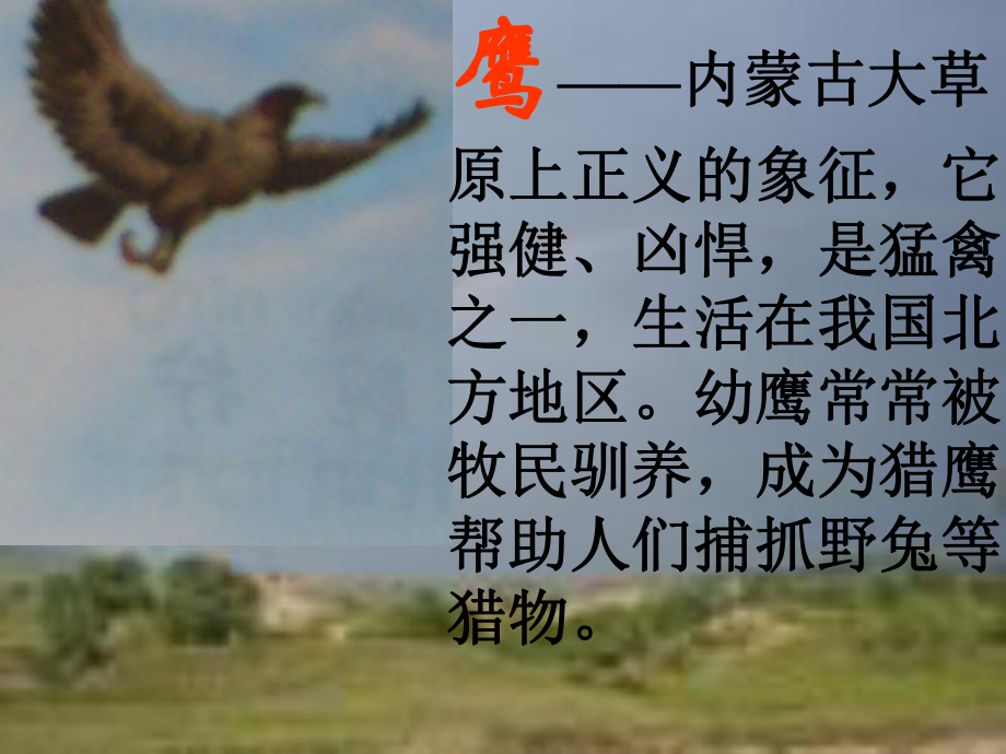 成吉思汗和鹰PPT课件.ppt_第2页