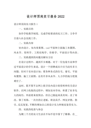 设计师顶岗实习报告例文.docx