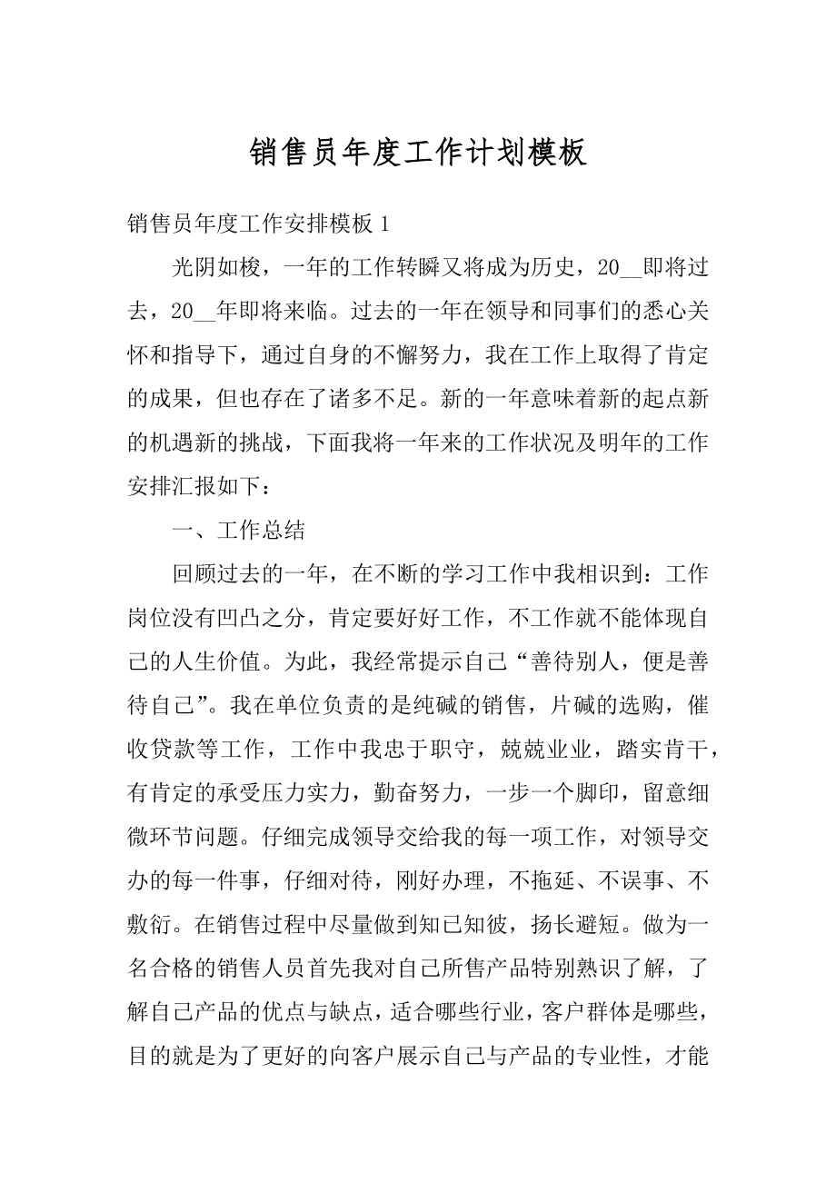 销售员年度工作计划模板最新.docx_第1页