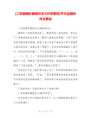 [二年级精彩暑假作文300字素材]平凡也精彩作文素材.doc