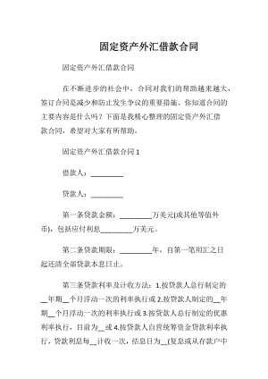 固定资产外汇借款合同.docx