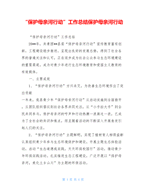 “保护母亲河行动”工作总结保护母亲河行动.doc