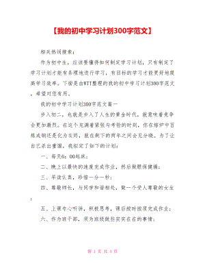 【我的初中学习计划300字范文】.doc