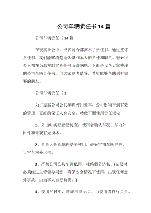 公司车辆责任书14篇.docx