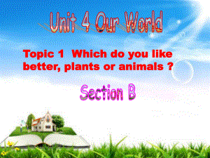 Unit4Topic1SectionB教学课件.ppt