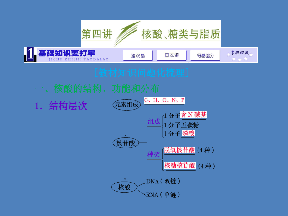 第四讲　核酸、糖类与脂质2.ppt_第1页