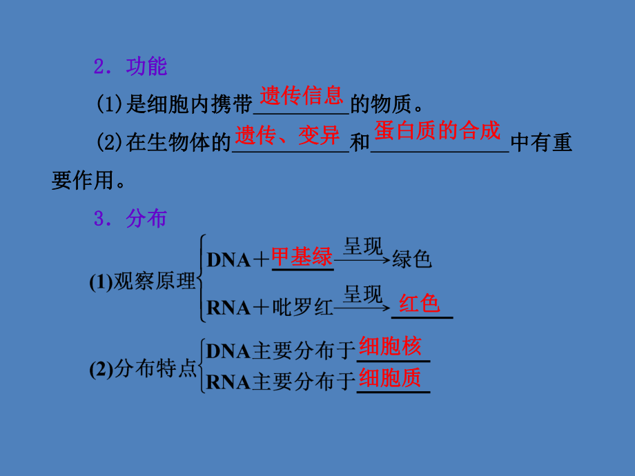 第四讲　核酸、糖类与脂质2.ppt_第2页