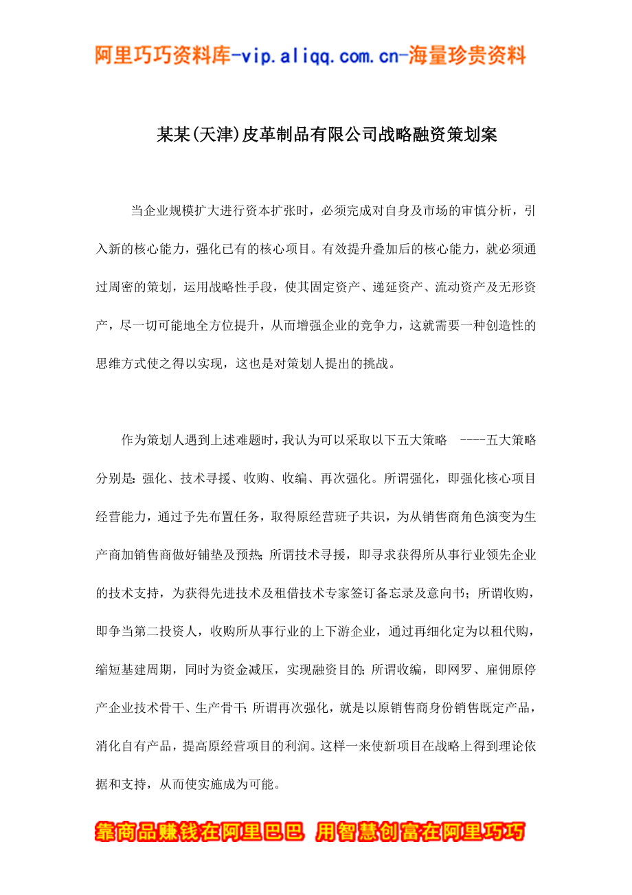 某某(天津)皮革制品有限公司战略融资策划案(doc 10).docx_第1页