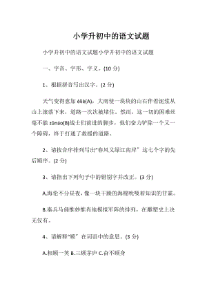 小学升初中的语文试题.docx