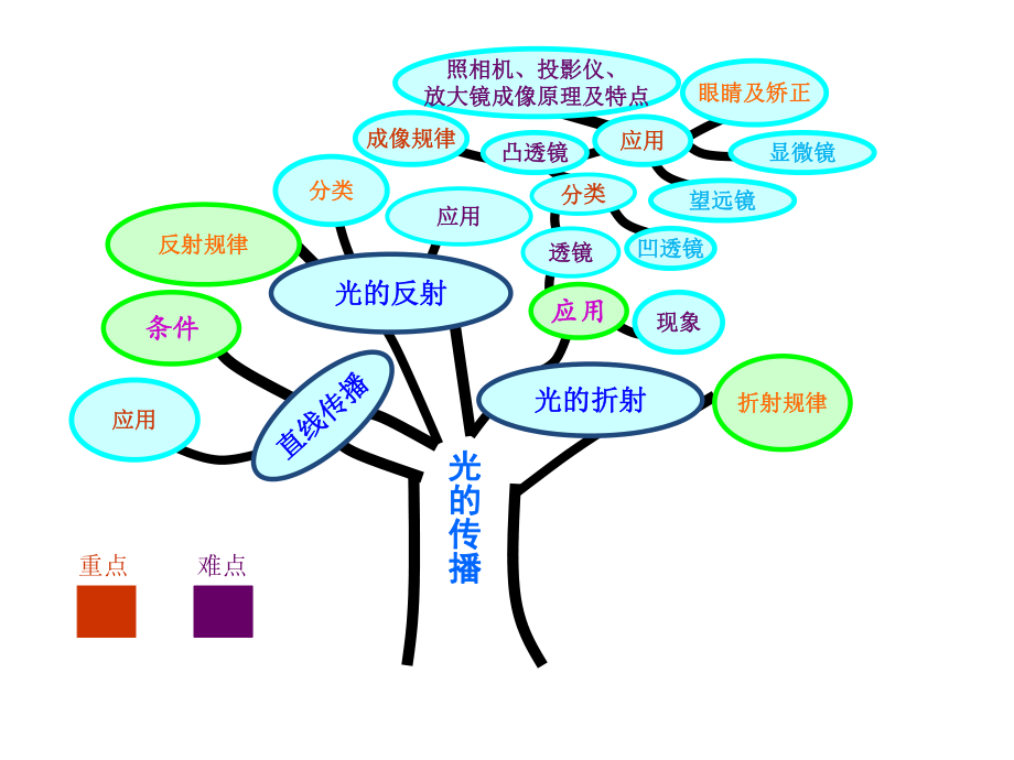 光的传播知识树.pptx_第1页