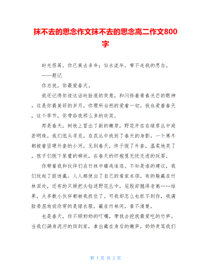 抹不去的思念作文抹不去的思念高二作文800字.doc