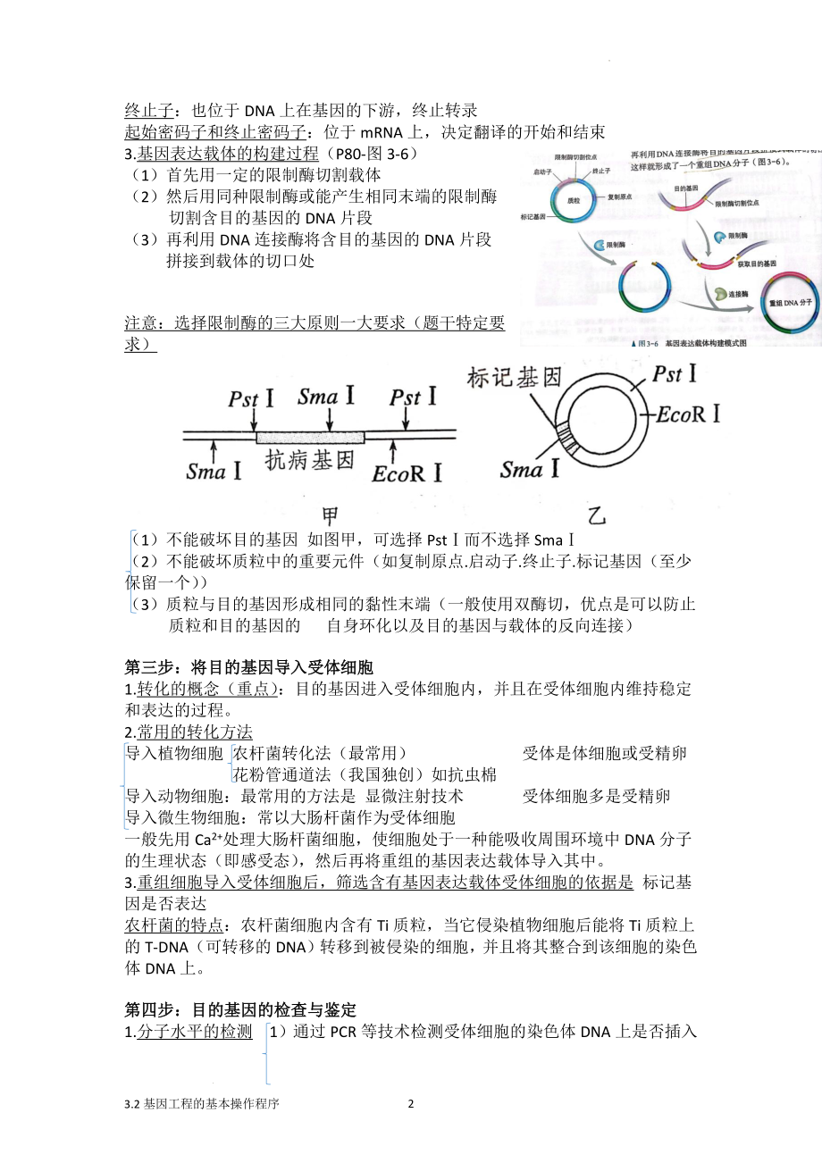 高三生物一轮复习：基因工程的基本操作程序基础知识.docx_第2页