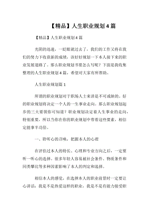 【精品】人生职业规划4篇.docx