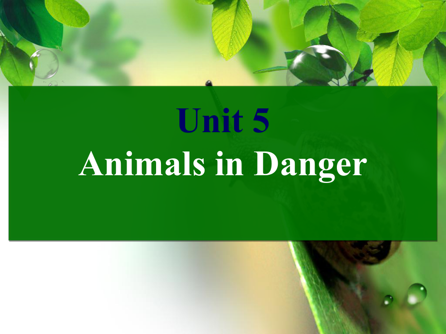 Unit5Animalsindanger课件2.ppt_第1页