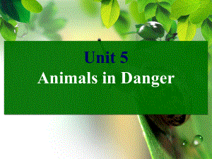 Unit5Animalsindanger课件2.ppt