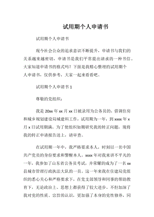 试用期个人申请书.docx