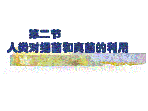 人类对细菌和真菌的利用公开课.ppt