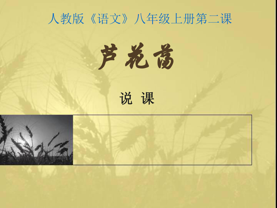 人教版八年级语文上册（芦花荡）课件.ppt_第1页