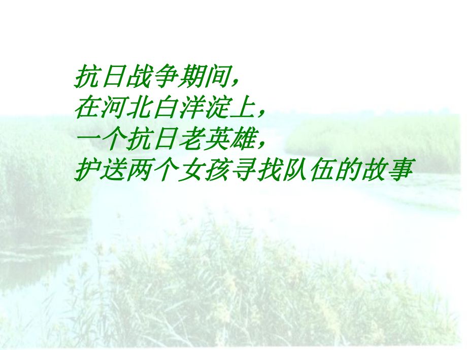 人教版八年级语文上册（芦花荡）课件.ppt_第2页