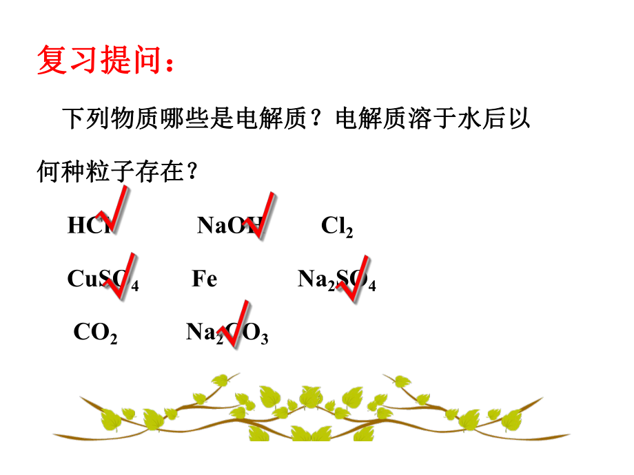 第二节离子反应及其条件（第一课时）.ppt_第2页