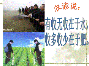 植物对水分和无机盐的吸收宋静.ppt